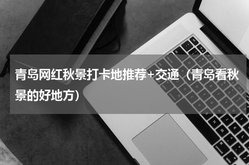 青岛网红秋景打卡地推荐+交通（青岛看秋景的好地方）