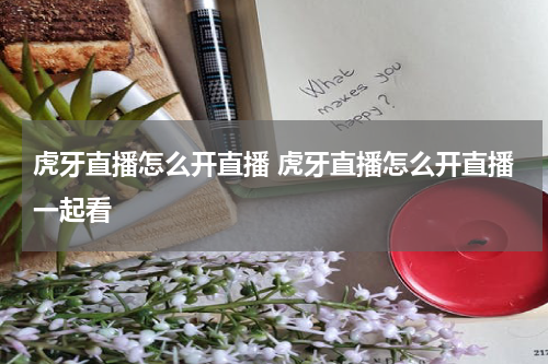 虎牙直播怎么开直播 虎牙直播怎么开直播一起看
