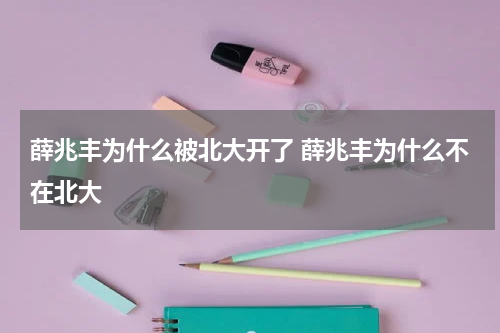 薛兆丰为什么被北大开了 薛兆丰为什么不在北大