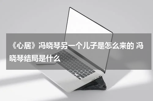 《心居》冯晓琴另一个儿子是怎么来的 冯晓琴结局是什么
