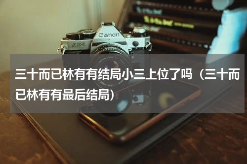 三十而已林有有结局小三上位了吗（三十而已林有有最后结局）