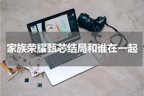 家族荣耀甄芯结局和谁在一起