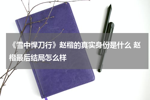 《雪中悍刀行》赵楷的真实身份是什么 赵楷最后结局怎么样