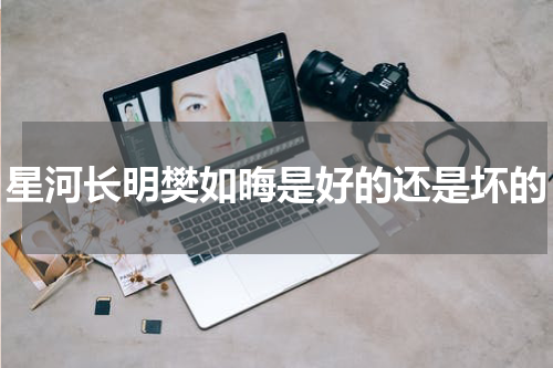 星河长明樊如晦是好的还是坏的