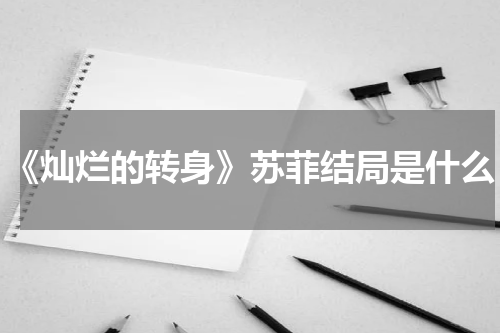 《灿烂的转身》苏菲结局是什么