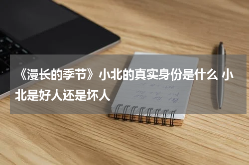 《漫长的季节》小北的真实身份是什么 小北是好人还是坏人