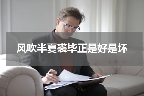 风吹半夏裘毕正是好是坏