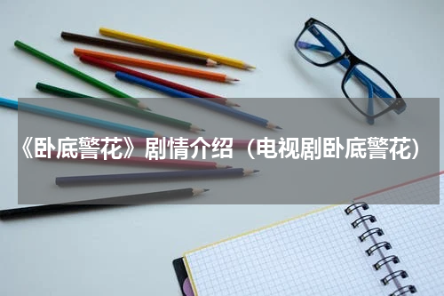 《卧底警花》剧情介绍（电视剧卧底警花）
