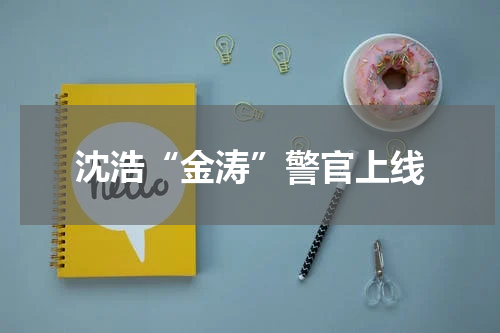 沈浩“金涛”警官上线