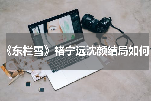 《东栏雪》褚宁远沈颜结局如何