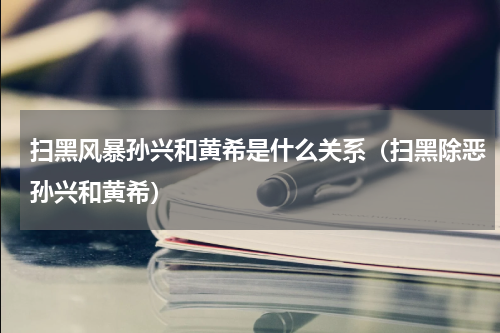 扫黑风暴孙兴和黄希是什么关系（扫黑除恶孙兴和黄希）