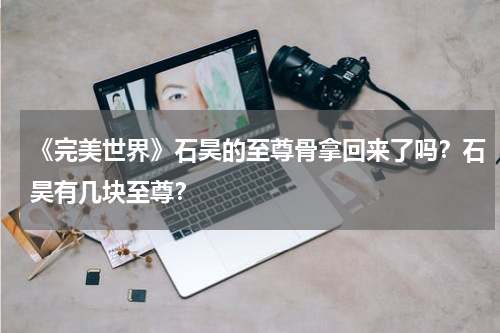 《完美世界》石昊的至尊骨拿回来了吗？石昊有几块至尊？
