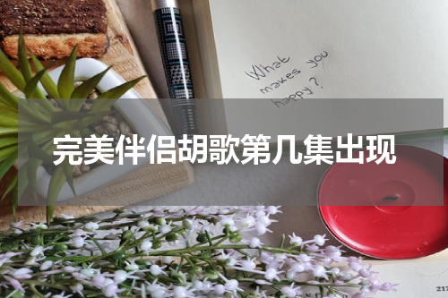 完美伴侣胡歌第几集出现