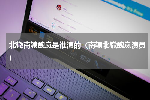 北辙南辕魏岚是谁演的（南辕北辙魏岚演员）