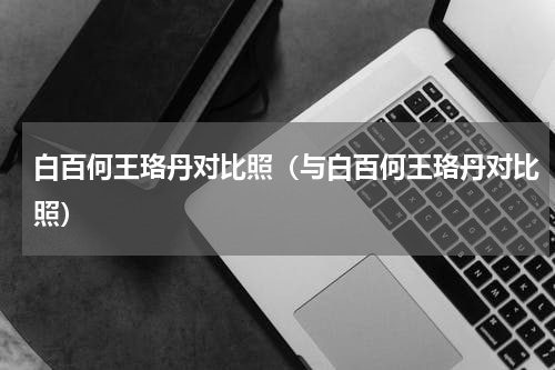 白百何王珞丹对比照（与白百何王珞丹对比照）