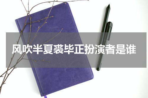 风吹半夏裘毕正扮演者是谁