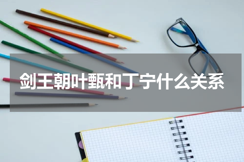 剑王朝叶甄和丁宁什么关系