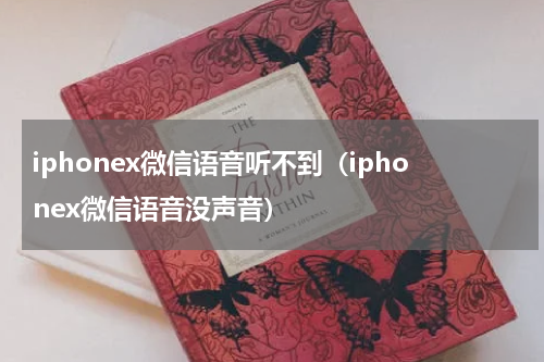 iphonex微信语音听不到（iphonex微信语音没声音）