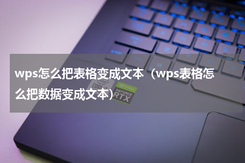 wps怎么把表格变成文本(wps表格怎么把数据变成文本)