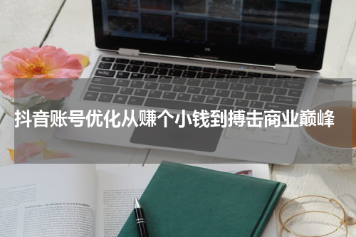  抖音账号优化从赚个小钱到搏击商业巅峰