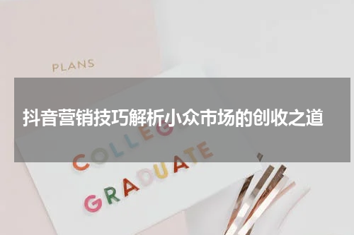  抖音营销技巧解析小众市场的创收之道