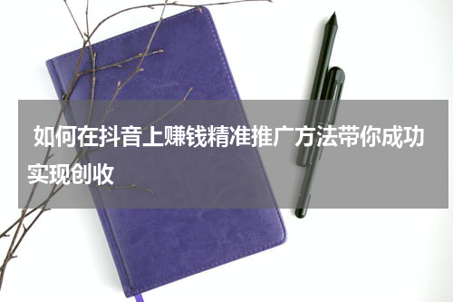  如何在抖音上赚钱精准推广方法带你成功实现创收