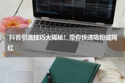  抖音引流技巧大揭秘！带你快速吸粉成网红