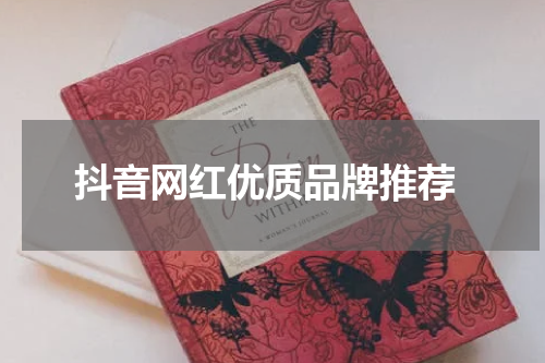  抖音网红优质品牌推荐