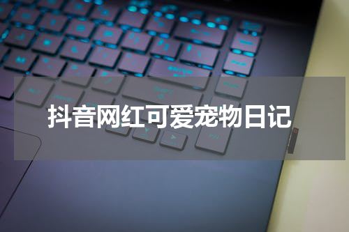  抖音网红可爱宠物日记