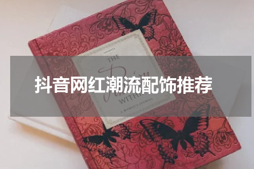  抖音网红潮流配饰推荐